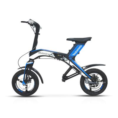 Scooter Điện Gấp Nhỏ Gọn Xenon Robstep X1 250W-300W 2021