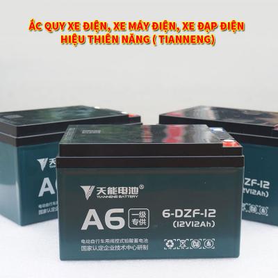 Ắc quy xe điện, xe đạp điện, xe máy điện hiệu Thiên Năng (Tianneng)