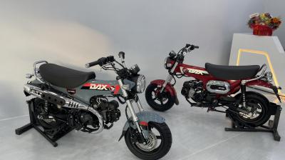 Honda Dax 125 Trail Sport 2024 chính ngạch, giá rẻ, giao xe ngay