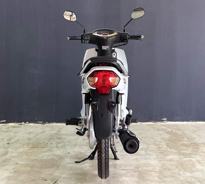 Honda Dream Thái 125 NCX màu trắng giá rẻ, HSCT, giao xe ngay