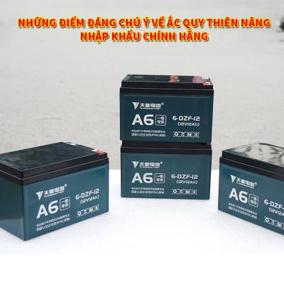 Những điểm đáng chú ý về ắc quy Thiên Năng nhập khẩu chính hãng