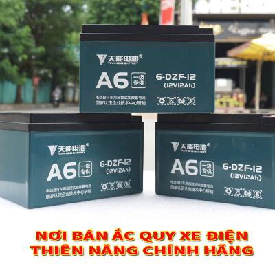 Nơi bán ắc quy xe điện Thiên Năng chính hãng
