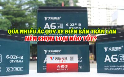 Quá nhiều hiệu bình ắc quy xe đạp điện bán tràn lan, nên chọn hiệu nào tốt?
