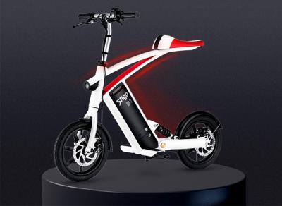 Scooter Điện Gấp Gọn Stigo B1 250W 2021, Xe Điện Sinh Viên