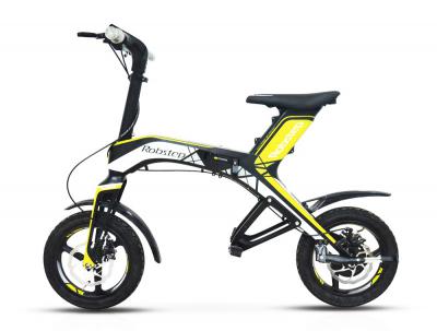 Scooter Điện Gấp Nhỏ Gọn Xenon Robstep X1 250W-300W 2021