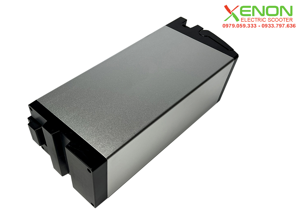 pin lithium lifepo4 48v30ah xenon -xe điện